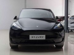 Tesla Model Y Rear-Wheel Drive - ფოტო 11