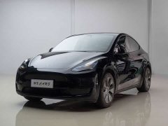 Tesla Model Y Rear-Wheel Drive - ფოტო 12