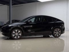 Tesla Model Y Rear-Wheel Drive - ფოტო 2