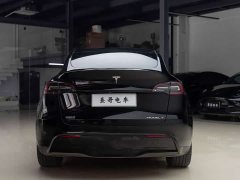 Tesla Model Y Rear-Wheel Drive - ფოტო 5