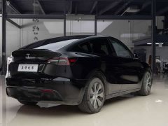 Tesla Model Y Rear-Wheel Drive - ფოტო 6