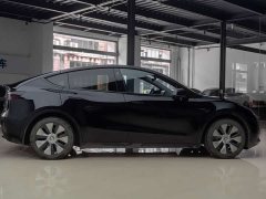 Tesla Model Y Rear-Wheel Drive - ფოტო 8
