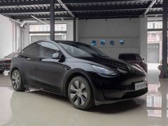 Tesla Model Y Rear-Wheel Drive - ფოტო 9