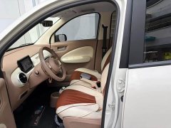 BMW Hongguang MINIEV Fourth Generation Four-Door Advanced Edition - ფოტო 6