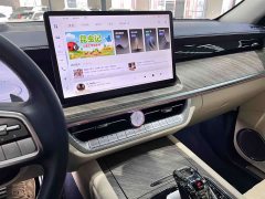 Tank 500 3.0T Sport Landscape Edition 5-Seater - ფოტო 11