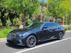 BMW 3 Series 320Li M Sport Package - ფოტო 16
