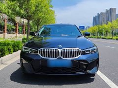 BMW 3 Series 320Li M Sport Package - ფოტო 17