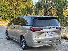 Buick GL8 ES Luxe Enjoyment Edition - ფოტო 5