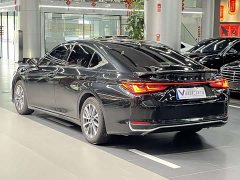 Lexus ES 300h Premium Edition - ფოტო 9