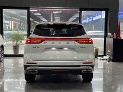 Haval H6 2021 National Trend 1.5T Automatic Champion Edition - ფოტო 15