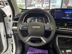 Haval H6 2021 National Trend 1.5T Automatic Champion Edition - ფოტო 9
