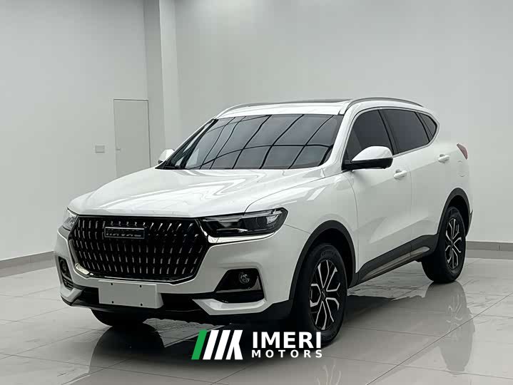 Haval H6 National Trend Edition 1.5T Automatic Urban Version - ავტომობილი ჩინეთიდან