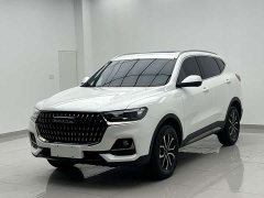 Haval H6 National Trend Edition 1.5T Automatic Urban Version - ფოტო 1