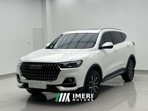 2023 Haval H6 National Trend Edition 1.5T Automatic Urban Version - ავტომობილი ჩინეთიდან