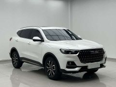 Haval H6 National Trend Edition 1.5T Automatic Urban Version - ფოტო 3