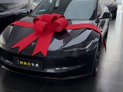 Tesla Model 3 2023 Rear-Wheel Drive - ფოტო 1