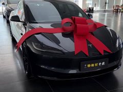 Tesla Model 3 2023 Rear-Wheel Drive - ფოტო 2