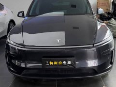 Tesla Model Y Rear-Wheel Drive - ფოტო 2