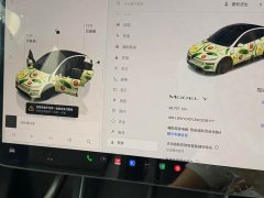 Tesla Model Y Rear-Wheel Drive - ფოტო 8