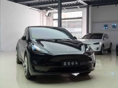 Tesla Model Y 2022 Facelift Rear-Wheel Drive - ფოტო 11