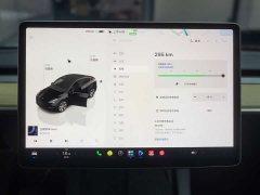 Tesla Model Y 2022 Facelift Rear-Wheel Drive - ფოტო 19
