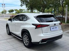 Lexus NX 2020 300h FWD Pinnacle Edition National VI - ფოტო 12