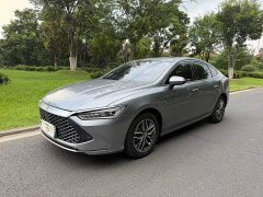 BYD Qin Plus Champion Edition DM-i 120KM Excellence - ფოტო 1