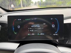 BYD Qin Plus Champion Edition DM-i 120KM Excellence - ფოტო 9