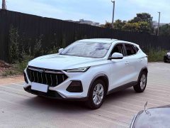 Changan Oushan X5 1.6L CVT Luxury - ფოტო 1
