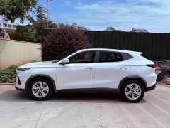Changan Oushan X5 1.6L CVT Luxury - ფოტო 8