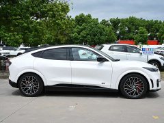 Ford Mustang Mach-E 2021 GT - ფოტო 5