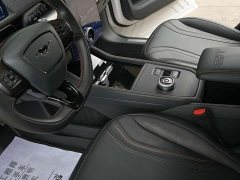Ford Mustang Mach-E 2021 GT - ფოტო 8