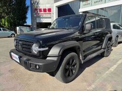 Tank 300 2.0T Gasoline Conqueror - ფოტო 4