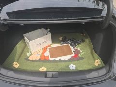 Buick Regal 25T Premium Comfort Edition - ფოტო 4