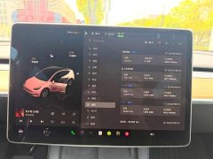 Tesla Model Y 2022 Rear-Wheel Drive - ფოტო 10