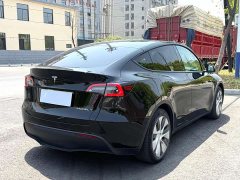 Tesla Model Y 2022 Rear-Wheel Drive - ფოტო 3