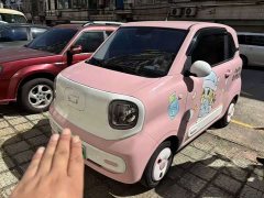 FAW Besturn Xiaoma 170km Vitality Edition - photo 1