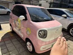 FAW Besturn Xiaoma 170km Vitality Edition - photo 2