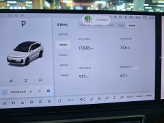 Li Auto L6 Pro Smart Refresh Edition - ფოტო 17