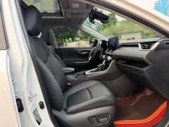 Toyota RAV4 2.0L CVT FWD 20th Anniversary Platinum Edition - ფოტო 10