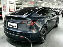 Tesla Model Y Rear-Wheel Drive - ფოტო 7