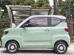 BMW Hongguang MINIEV Macaron Fashion Edition LFP Battery - ფოტო 7