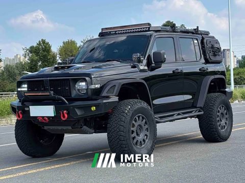 2025 Tank 300 New Energy Hi4-T 36.7kWh - ავტომობილი ჩინეთიდან