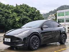 Tesla Model Y Rear-Wheel Drive - ფოტო 1