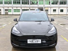 Tesla Model Y Rear-Wheel Drive - ფოტო 2