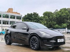 Tesla Model Y Rear-Wheel Drive - ფოტო 3