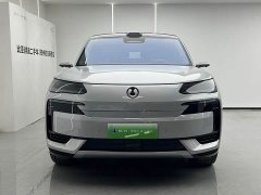 Denza BYD Denza N9 Flagship - ფოტო 2