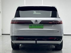 Denza BYD Denza N9 Flagship - ფოტო 4