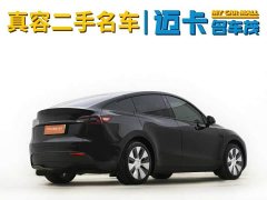 Tesla Model Y Rear-Wheel Drive - ფოტო 12