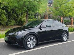 Tesla Model Y Rear-Wheel Drive - ფოტო 15